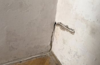 Schimmelwand